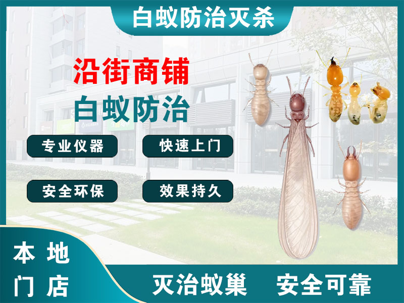 海安市沿街商铺白蚁防治