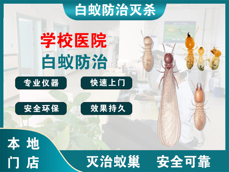 海安市学校医院白蚁防治