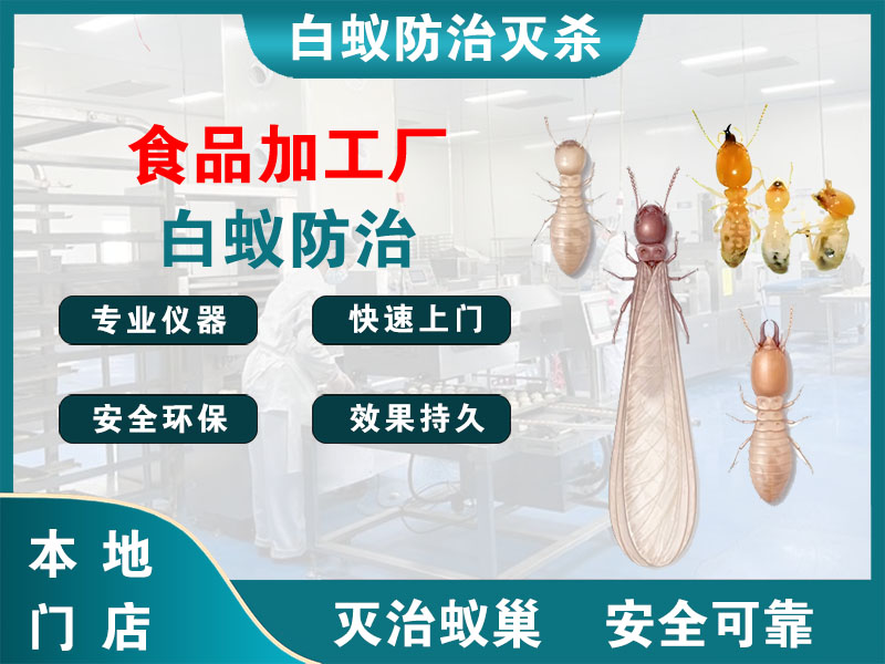海安市食品加工厂白蚁防治