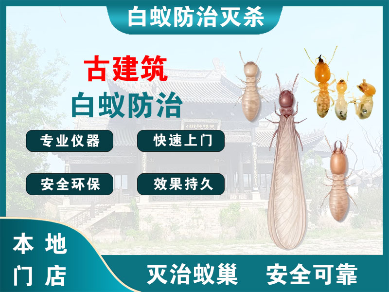 海安市古建筑白蚁防治