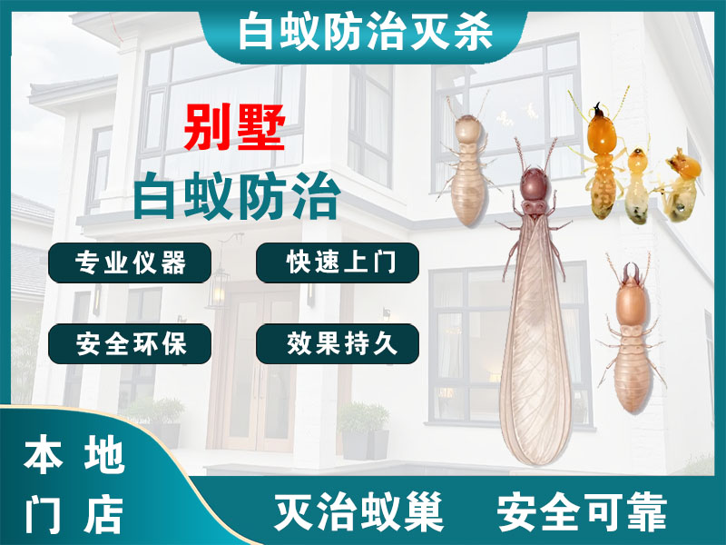 海安市别墅白蚁防治